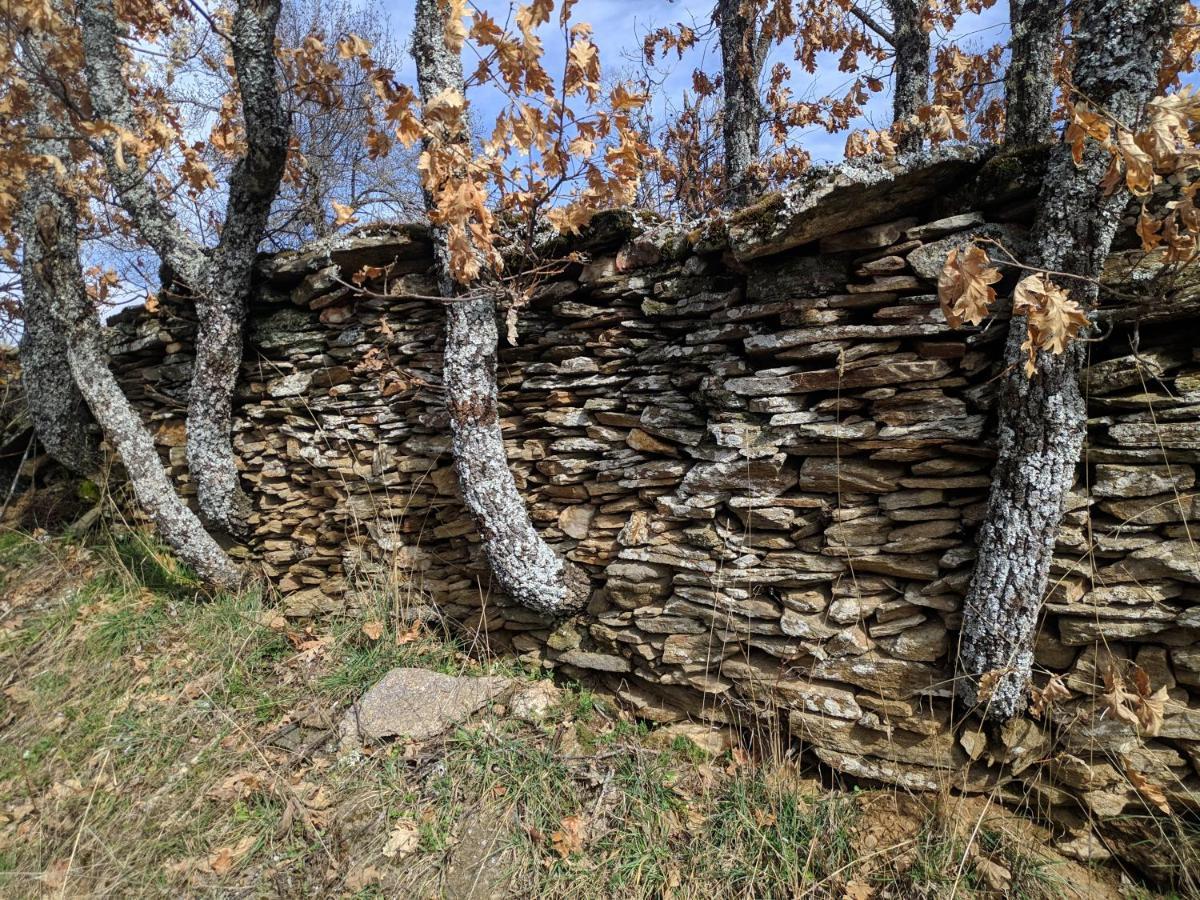 Casa Rural Fuente Del Arca Montejo Montejo de la Sierra Eksteriør billede